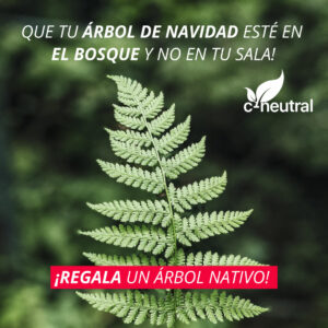 Plant a native tree at Christmas